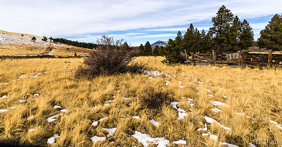 Michelbach Homestead Looking Toward Kendrick Peak