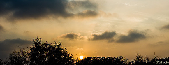 LA Sunset
