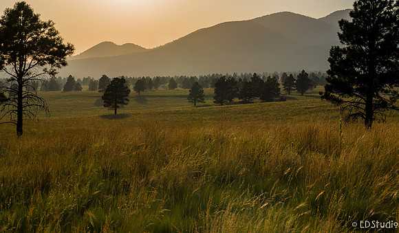 Government Prairie Sunset