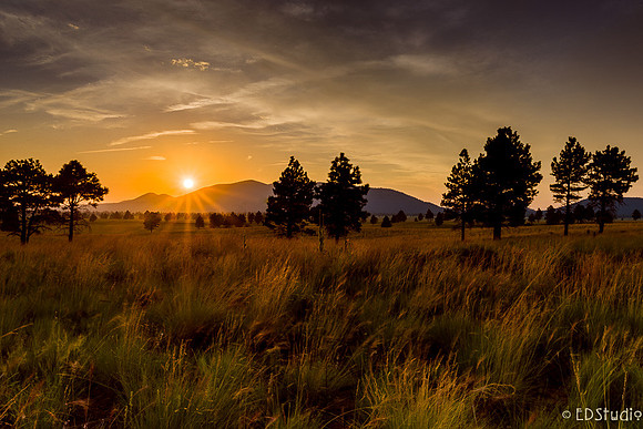 Government Prairie Sunset