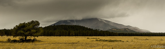 Storm over Kendrick