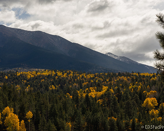 Fall Color and Early Snow on  the San Francisco Peaks