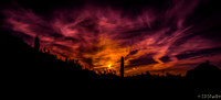 The Sky is on Fire at the Desert Botanical Garden