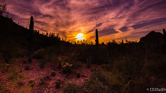 Radiant Desert sky