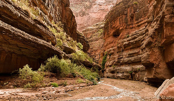 Upper Saddle Canyon, Marble Canyon