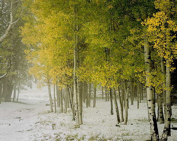 Winter Begins at Aspen Corner.  Dec '18
