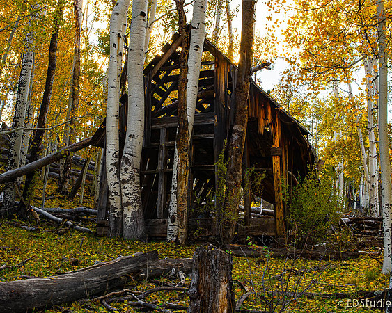 Michelbach Homestead Returns to the Earth #1