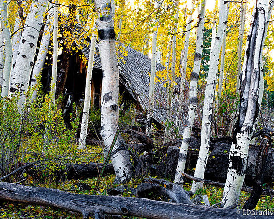 Michelbach Homestead Returns to the Earth #2