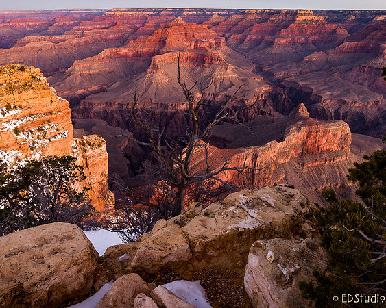 Before Sunrise, Powell Point, Grand Canyon