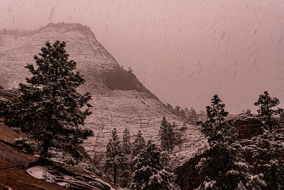 Zion Snowstorm. March 2020