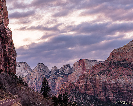 View Toward The Sentinal, Zion National Park #2