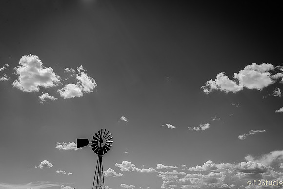 Wind