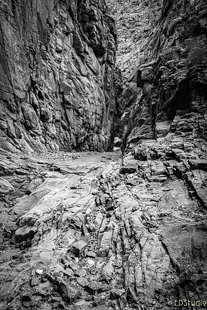 Trinity Creek #3