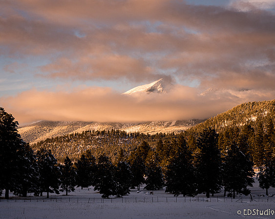 Misty Peaks, San Francisco Peaks, AZ