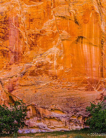 Capital Reef